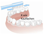 K wie Kauflächen
